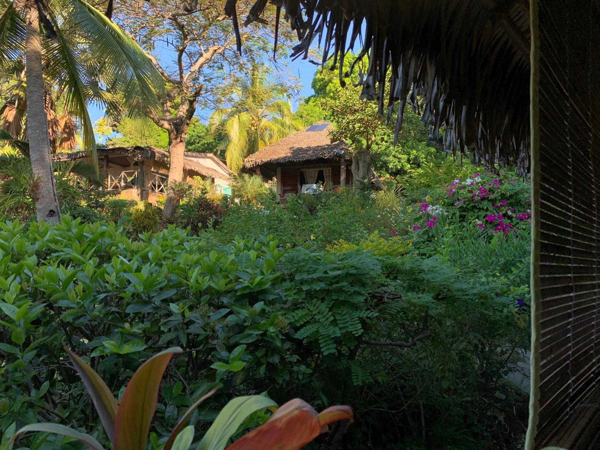 Bed and Breakfast Les Jardins D'Ankify Andimaka Exterior foto
