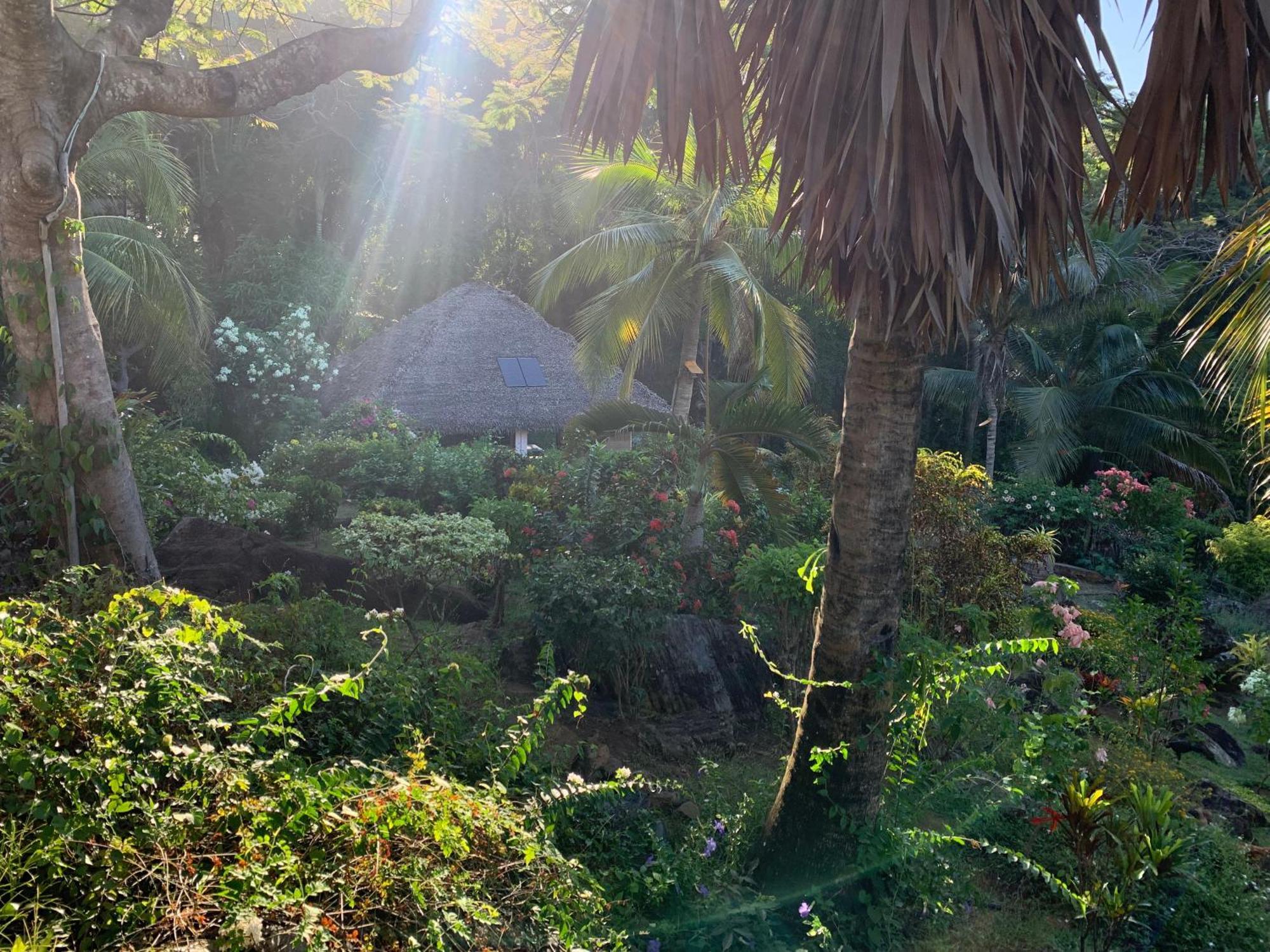 Bed and Breakfast Les Jardins D'Ankify Andimaka Exterior foto