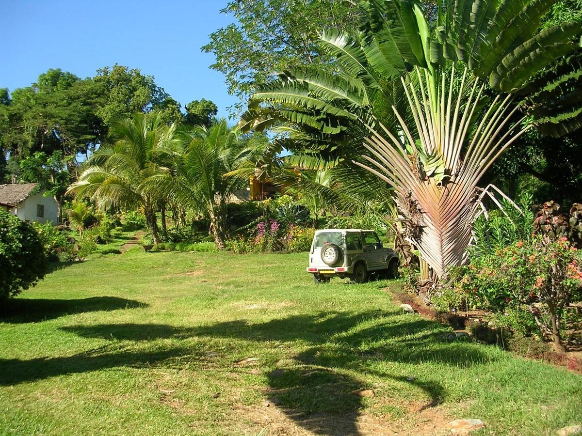 Bed and Breakfast Les Jardins D'Ankify Andimaka Exterior foto