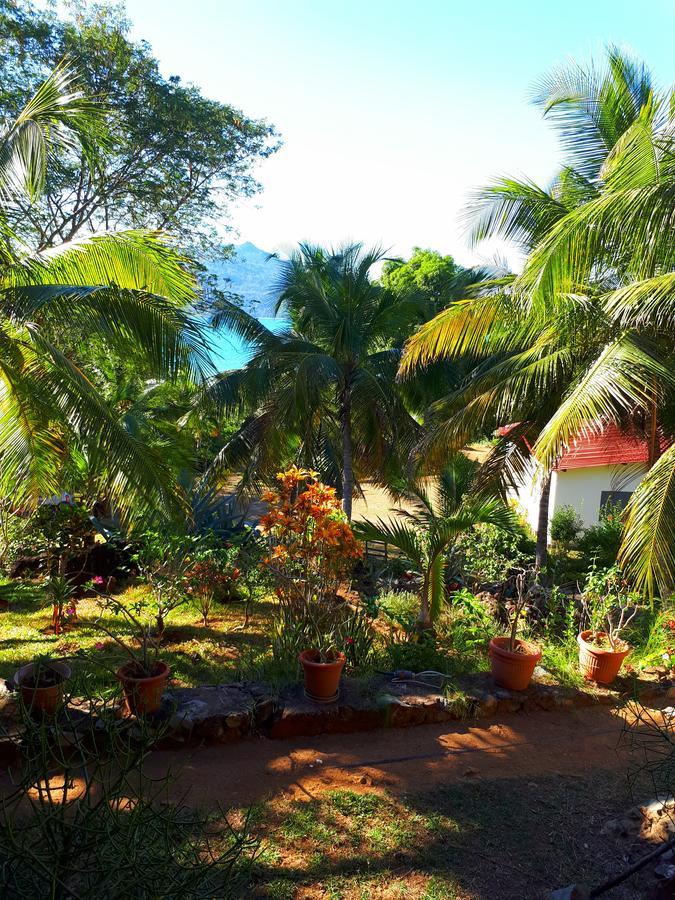 Bed and Breakfast Les Jardins D'Ankify Andimaka Exterior foto